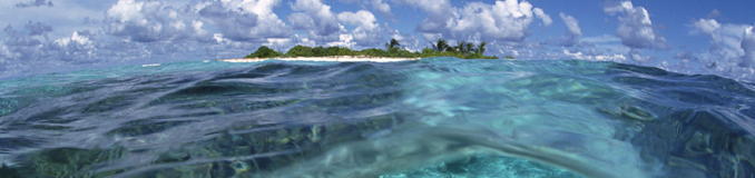 パッケージツアーのお客様